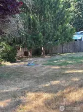 back yard