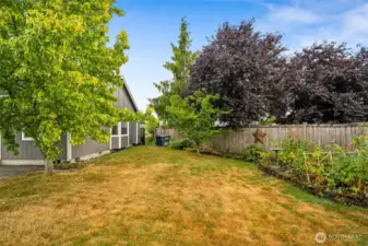 Garden space & several fruit trees add to the enjoyment of this large yard.