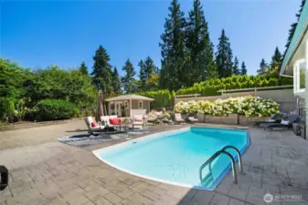 Sparkling pool