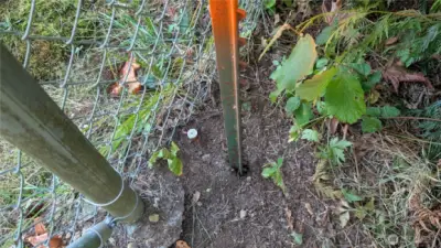 Survey stakes are there but not all have been searched out.