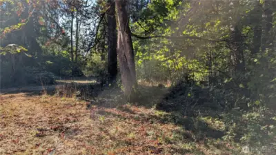 Great spot to build your secluded retreat.
