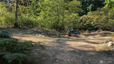 Center area of the property.