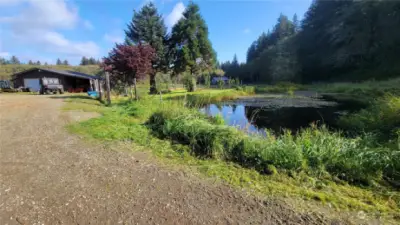 Pond and Detached garage across from house