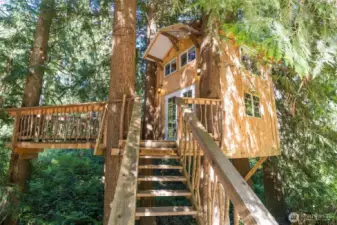 Treehouse was inspired by Treehouse Masters.