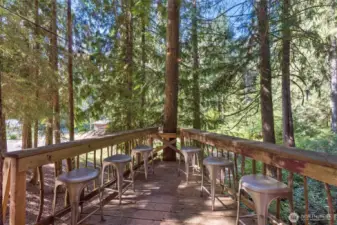 Treehouse Deck with bar-top.