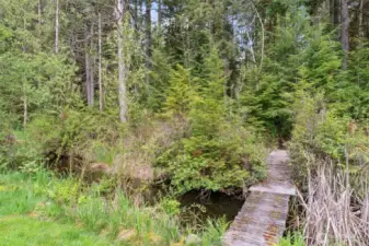 Pond area
