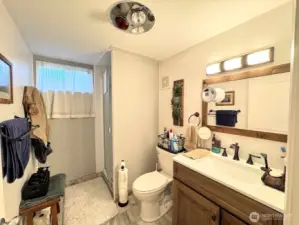 lower level bathroom