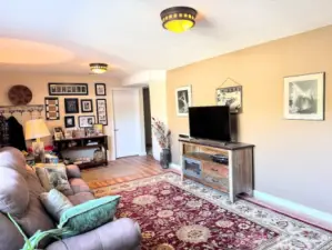 lower level family room