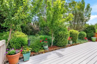 Beautiful private deck