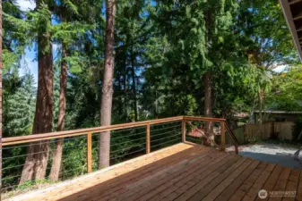 BACK DECK WHICH HAVE ACCESS DOORS FROM BOTH DINING AND FAMILY ROOMS