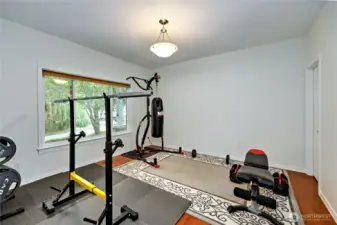 Main floor workout room, office, or bedroom with walk in closet.