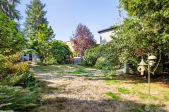 View back towards home & thoughtful placement of trees to assure privacy