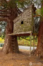 Treehouse on the lot.