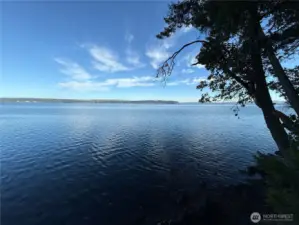 Hood canal from your private beach.