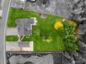 The backyard has enough room for it's own baseball diamond!