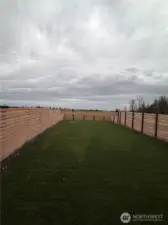 View of the backyard