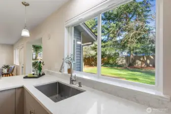 View into the backyard from the double sink