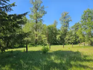 12.87 Acres just 2.5 miles from Elbe, WA!
