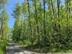 Private Road looking at property which runs all the way out to HWY 706
