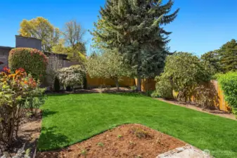 Beautiful mature landscaping features fruit trees, roses, camellias, and more!