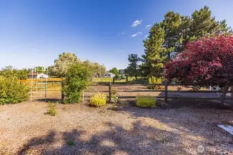 garden space