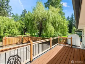 Back Deck