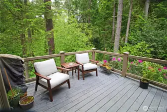 Back deck