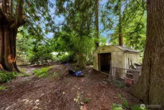 little shed for garden tools