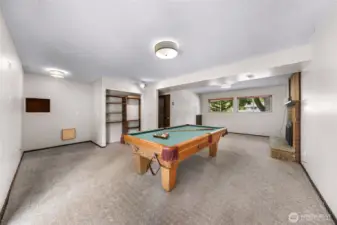 downstairs family room