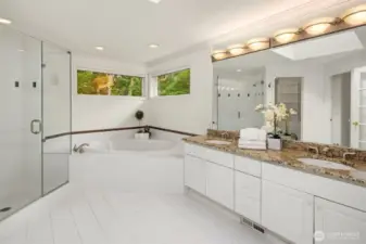 Frameless shower, soaking tub and double sink vanity.  From the mirror you can see the fully built-out walk-in closet, as well as the door to the WC.