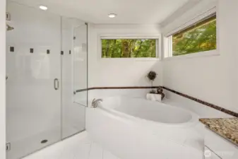 Close up of the soaking tub, with tree top views.