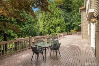 This magnificent deck stretches the entire length of the house - from downstairs family room, to kitchen with French doors, all the way to the bonus room.  A second tier of the deck goes down to the hot tub!  Walk behind the camera to a few stairs leading the prized gazebo!