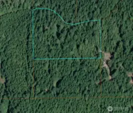 These two parcels were once part of a Christmas tree farm.