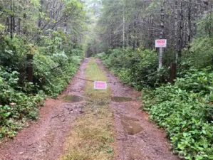 This driveway is the access for multiple parcels. There are no dogs in the woods! Walk down this road until you get to the "T" at the south property line.
