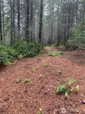 RV site near small pond.