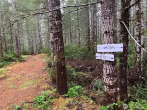 Left fork to RV site and pond.