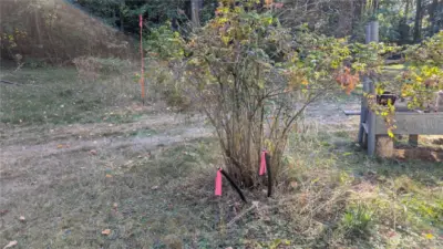 Flagged pipes mark the water for this and adjoining 1.25 acres that is also available. Flagged pole is not a marking of any kind for this property. It marks the SE corner of the adjoining piece