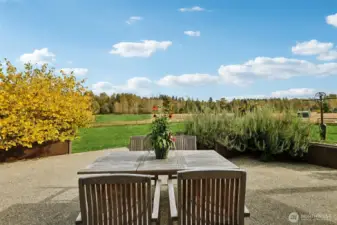 Looking East from Patio toward the Stllagaumish River along the tree line.