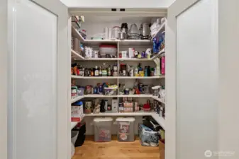 Walk-in Pantry just off kitchen.