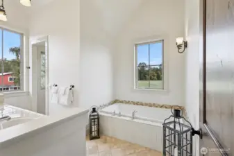 Primary Bath with Soaking Tub, seperate huge shower and great Natural Light...