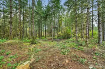 Bring your plans and get ready to build