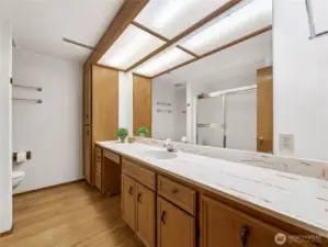 The large bathroom with a bathtub/shower has a very large sink/vanity area and plenty of storage!