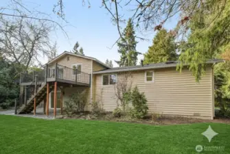 The grass has been enhanced with AI