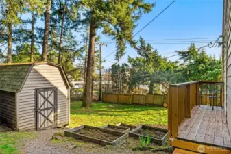 Storage Shed and gardening boxes