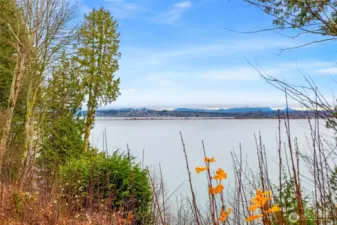 Welcome to your new home on the Ocean front of Drayton Bay