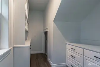 Walk in Pantry with lots of natural light and sleek built-in's