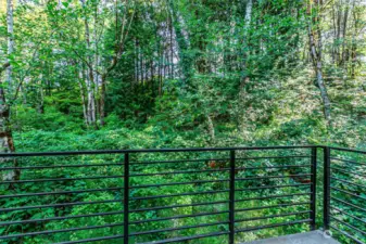 Experience the zen this back deck offers