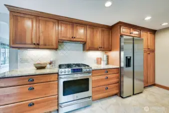 Dual-Fuel range (gas burners, electric oven)