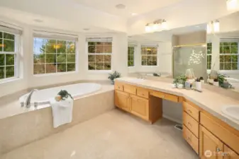 Primary Suite Bath
