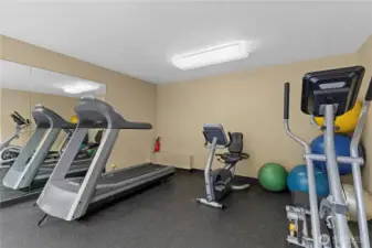 Stay active without leaving home with treadmills, elliptical, and bikes.